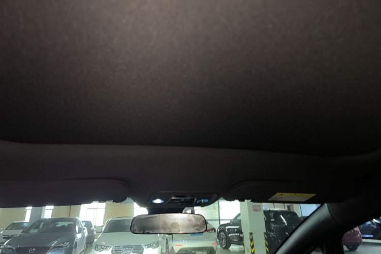 Used BYD Dolphin 2021 405 km Fashion Edition Headliner