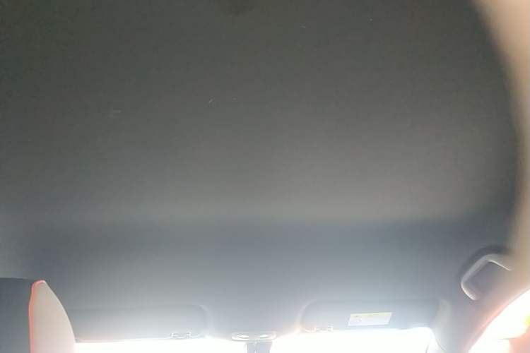 Used BYD Dolphin 2021 405 km Free Version Headliner