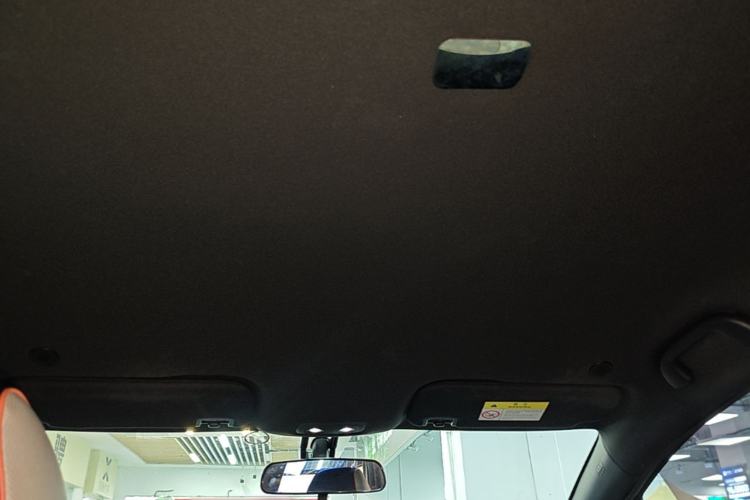 Used BYD Dolphin 2021 405 km Free Version Headliner