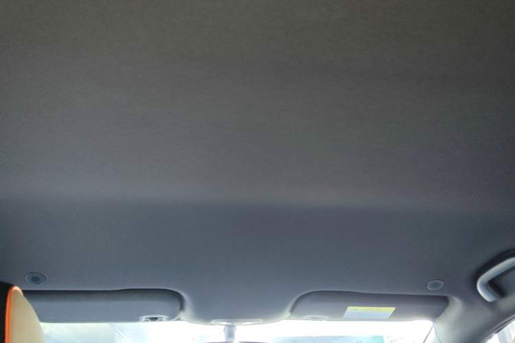 Used BYD Dolphin 2021 405 km Free Version Headliner