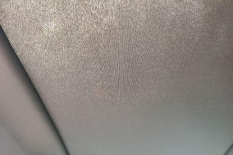 Used BYD Dolphin 2021 405 km Fashion Edition Headliner