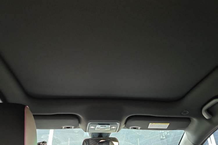 Used BYD Dolphin 2021 405 km Fashion Edition Headliner