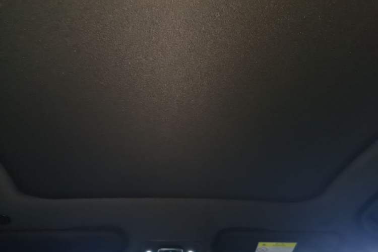 Used BYD Dolphin 2021 405 km Fashion Edition Headliner