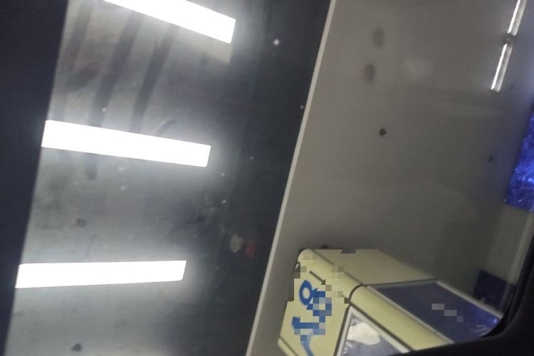 Used BYD Dolphin 2021 405 km Fashion Edition Headliner