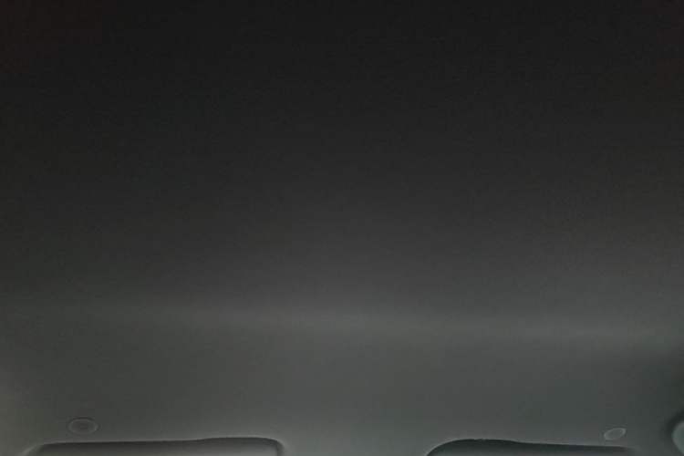 Used BYD Dolphin 2021 405 km Free Version Headliner