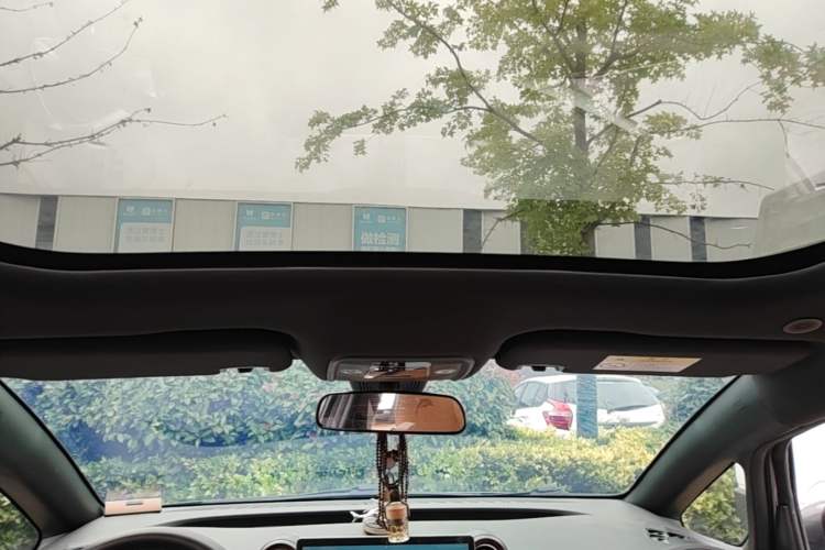 Used BYD Dolphin 2021 405 km Fashion Edition Headliner