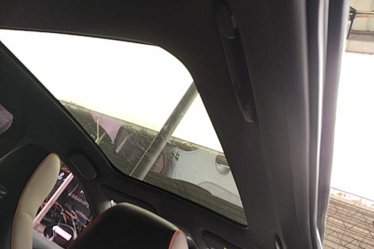 Used BYD Dolphin 2021 405 km Fashion Edition Headliner