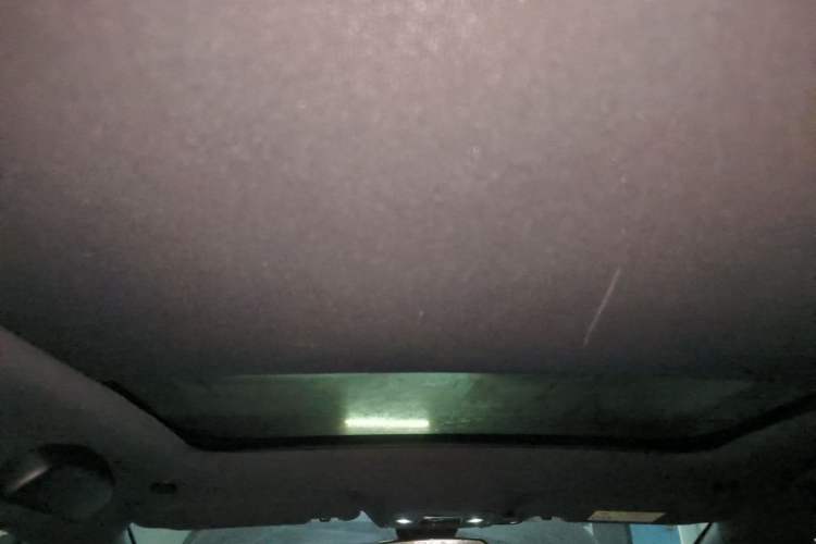 Used BYD Dolphin 2021 405 km Fashion Edition Headliner