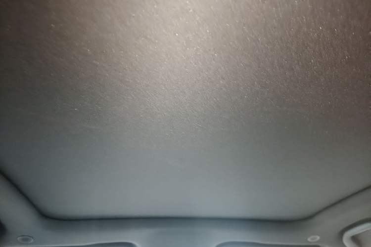 Used BYD Dolphin 2021 405 km Fashion Edition Headliner