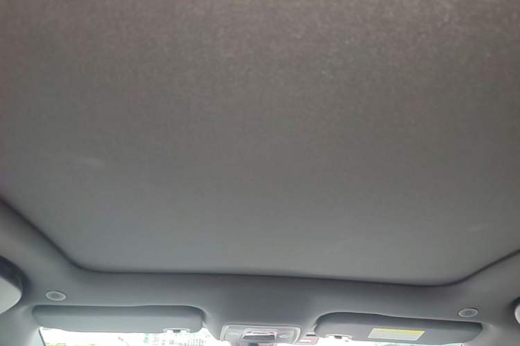 Used BYD Dolphin 2021 405 km Fashion Edition Headliner