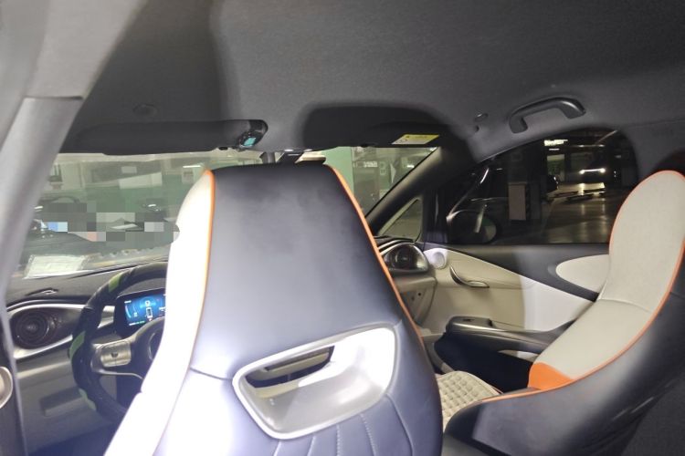 Used BYD Dolphin 2021 405 km Free Version Headliner