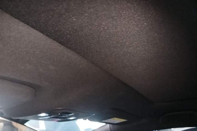 Used BYD Dolphin 2021 405 km Fashion Edition Headliner