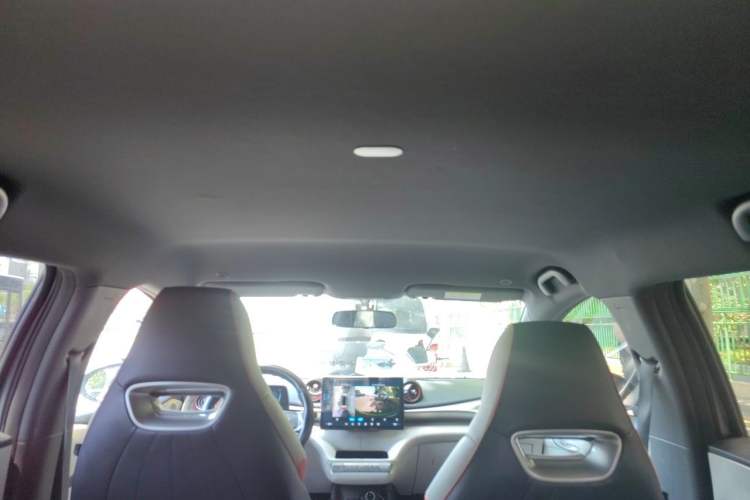 Used BYD Dolphin 2021 405 km Free Version Headliner