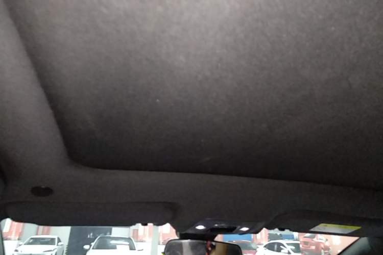 Used BYD Dolphin 2021 405 km Fashion Edition Headliner