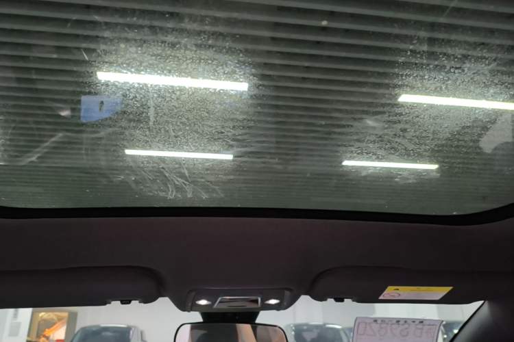 Used BYD Dolphin 2021 405 km Fashion Edition Headliner