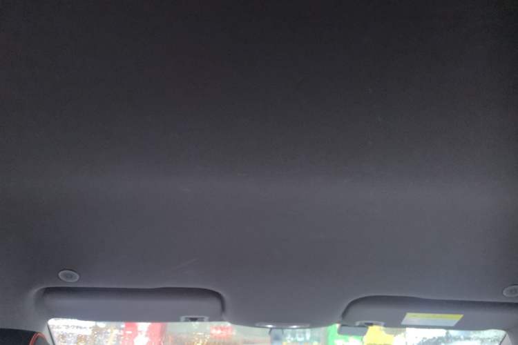 Used BYD Dolphin 2021 405 km Free Version Headliner