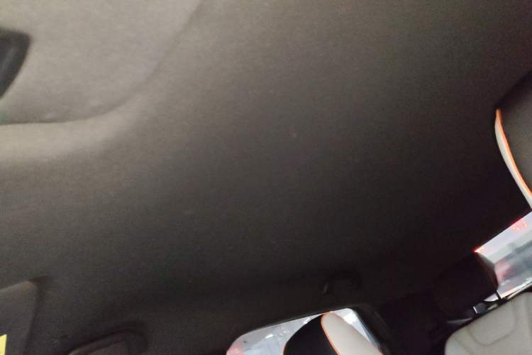 Used BYD Dolphin 2021 405 km Free Version Headliner