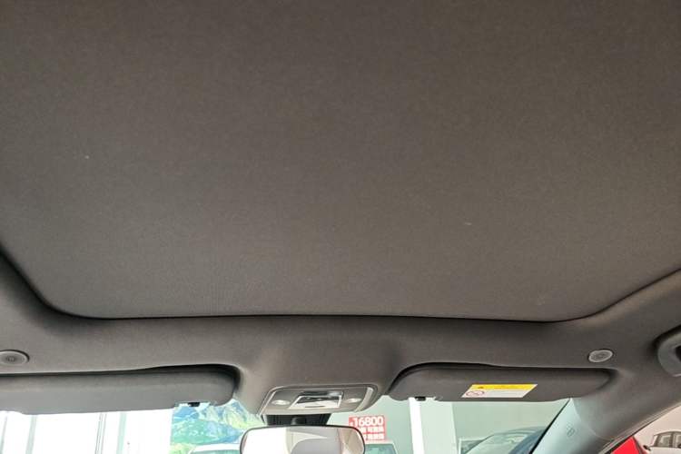 Used BYD Dolphin 2021 405 km Fashion Edition Headliner