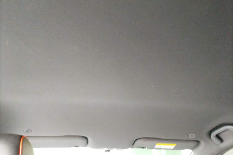 Used BYD Dolphin 2021 405 km Free Version Headliner