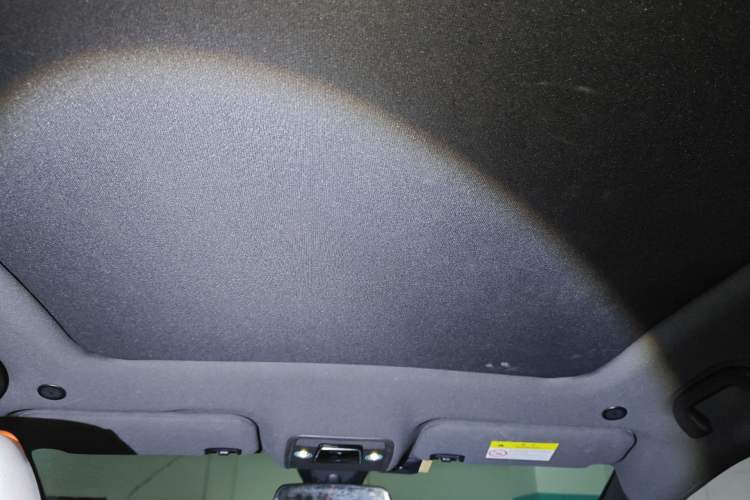 Used BYD Dolphin 2021 405 km Fashion Edition Headliner