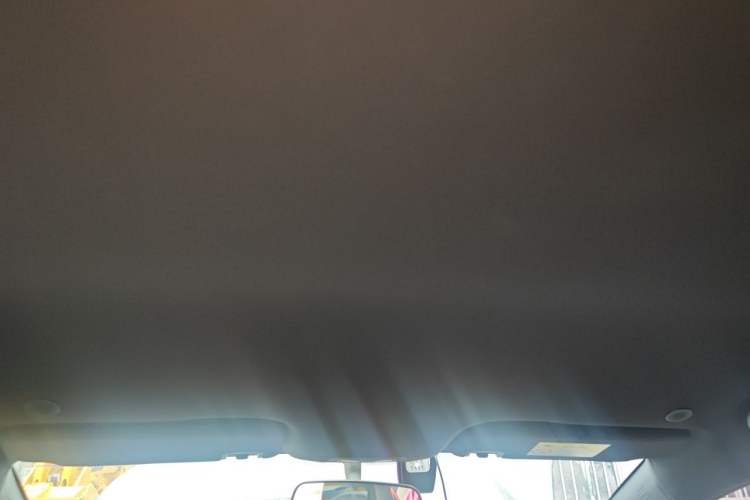 Used BYD Dolphin 2021 405 km Free Version Headliner
