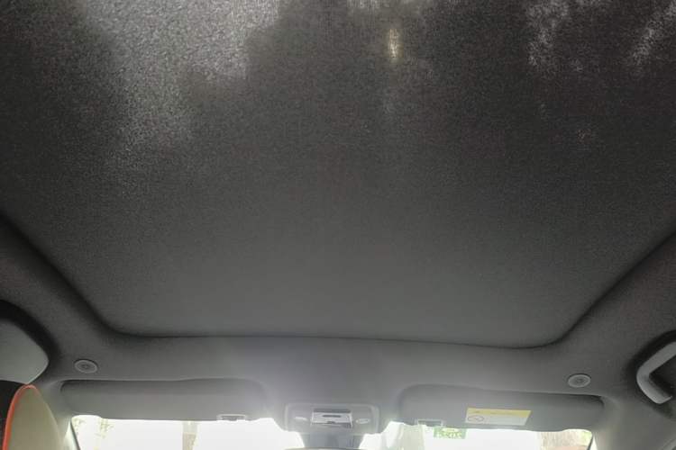 Used BYD Dolphin 2021 405 km Fashion Edition Headliner