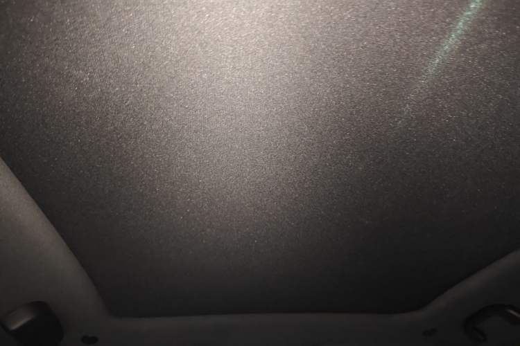 Used BYD Dolphin 2021 405 km Fashion Edition Headliner