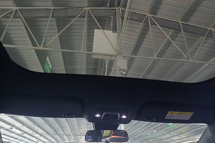 Used BYD Dolphin 2021 405 km Fashion Edition Headliner