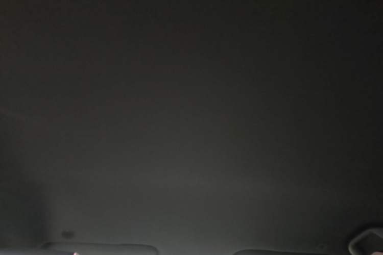 Used BYD Dolphin 2021 405 km Free Version Headliner