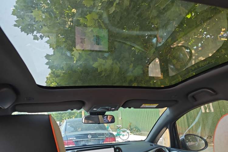 Used BYD Dolphin 2021 405 km Fashion Edition Headliner