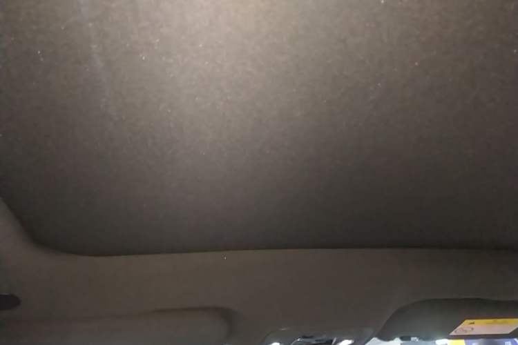 Used BYD Dolphin 2021 405 km Fashion Edition Headliner
