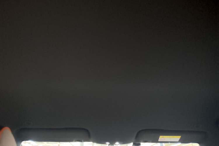 Used BYD Dolphin 2021 405 km Free Version Headliner
