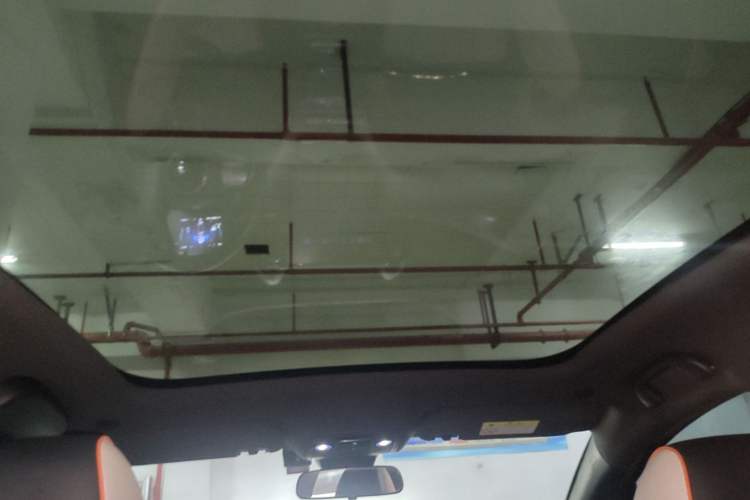 Used BYD Dolphin 2021 405 km Fashion Edition Headliner