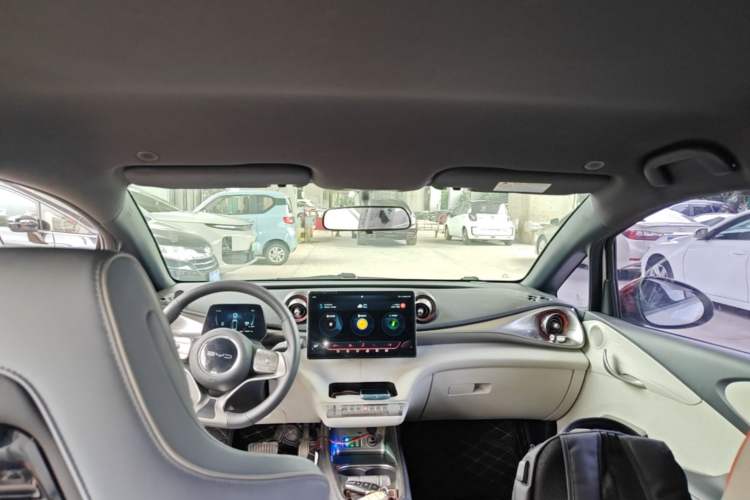 Used BYD Dolphin 2021 405 km Free Version Headliner