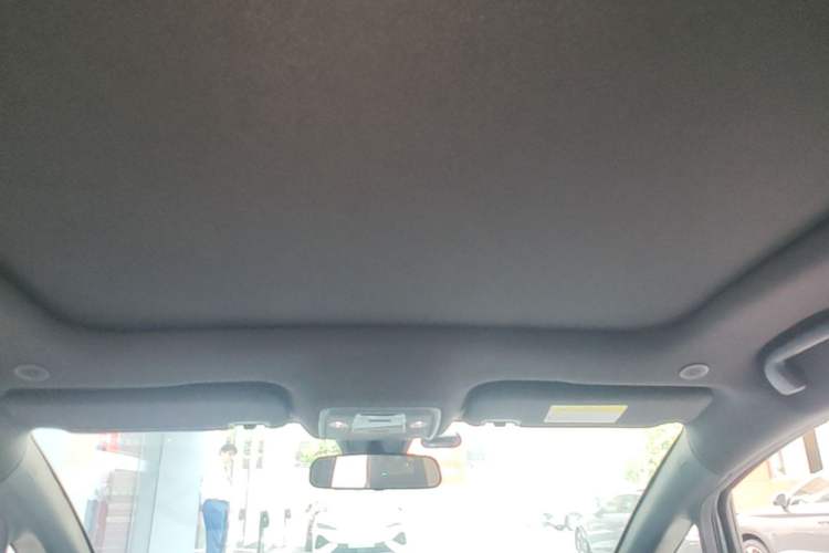 Used BYD Dolphin 2021 405 km Fashion Edition Headliner
