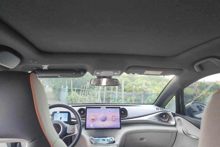 Used BYD Dolphin 2021 405 km Fashion Edition Headliner