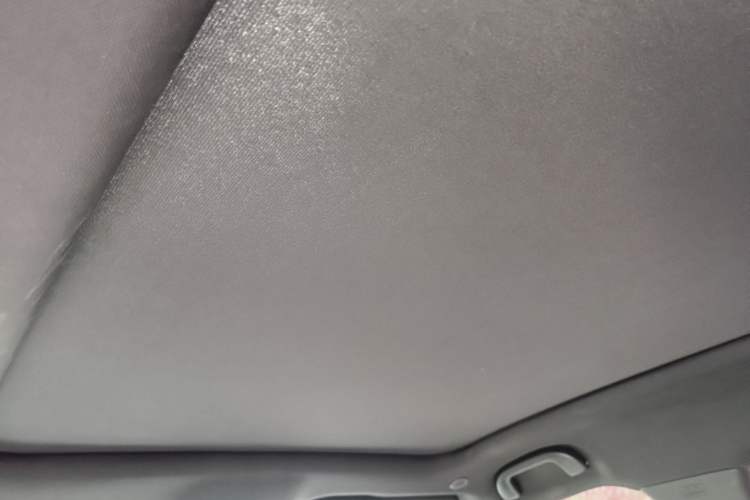Used BYD Dolphin 2021 405 km Fashion Edition Headliner