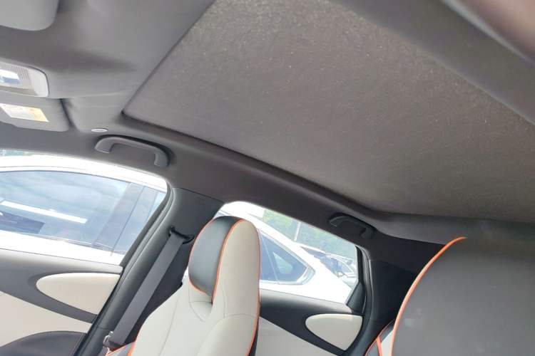 Used BYD Dolphin 2021 405 km Fashion Edition Headliner