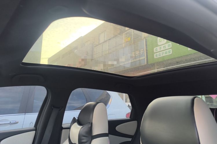 Used BYD Dolphin 2021 405 km Fashion Edition Headliner