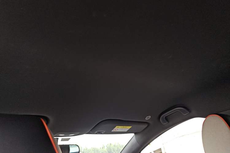 Used BYD Dolphin 2021 405 km Free Version Headliner
