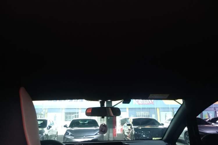 Used BYD Dolphin 2021 405 km Free Version Headliner