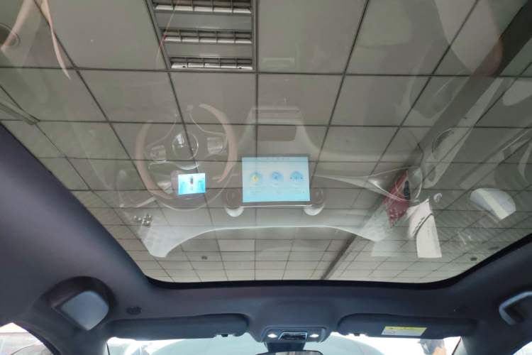 Used BYD Dolphin 2021 405 km Fashion Edition Headliner