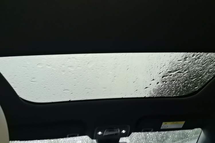 Used BYD Dolphin 2021 405 km Fashion Edition Headliner