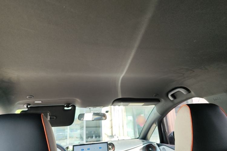 Used BYD Dolphin 2021 405 km Free Version Headliner