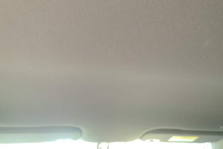 Used BYD Dolphin 2021 405 km Free Version Headliner