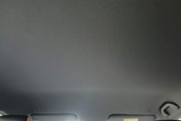 Used BYD Dolphin 2021 405 km Free Version Headliner