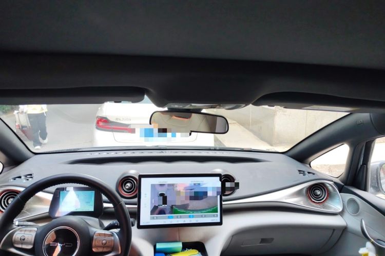 Used BYD Dolphin 2021 405 km Fashion Edition Headliner