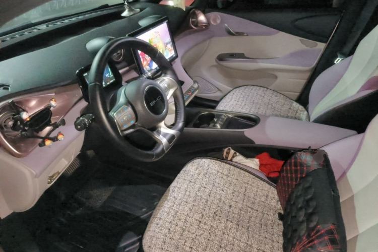 Used BYD Dolphin 2021 405 km Fashion Edition Left Front Seat