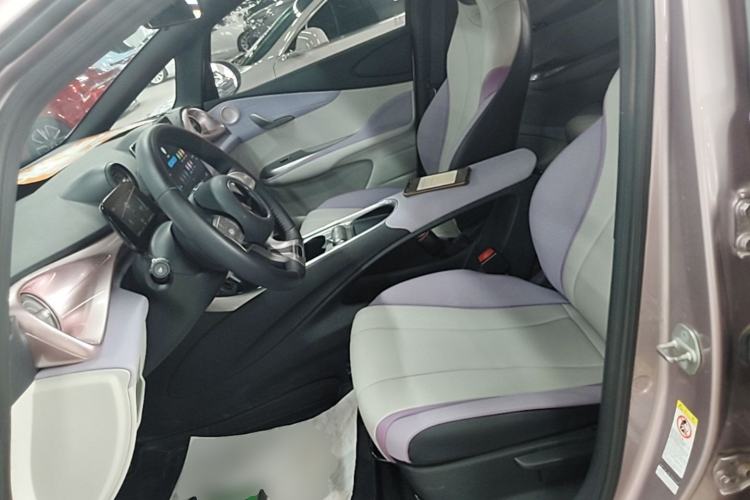 Used BYD Dolphin 2021 405 km Free Version Left Front Seat
