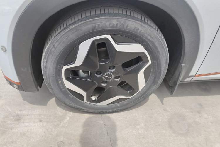 Used BYD Dolphin 2021 405 km Fashion Edition Left Front Wheel Hub